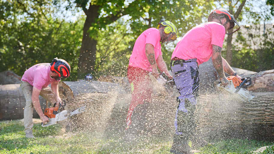 Three works in safety helmets use chainsaws to cut large logs as sawdust flies in a sunny outdoor setting.