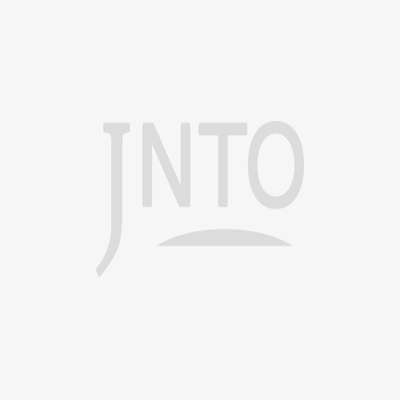 Japan Rail Pass 