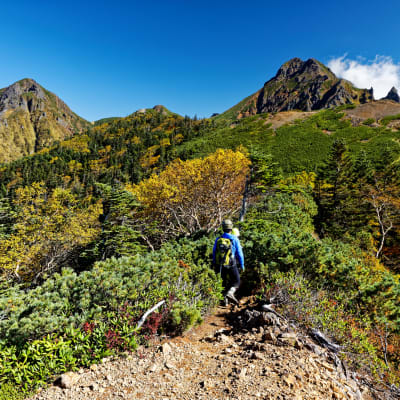 Yatsugatake Mountains
