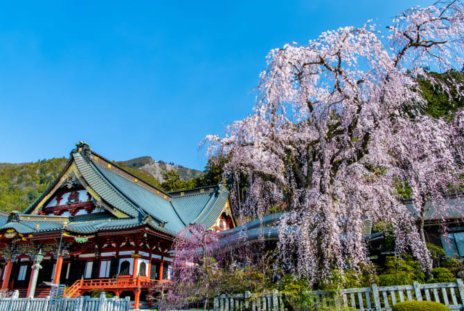 Mt. Minobu