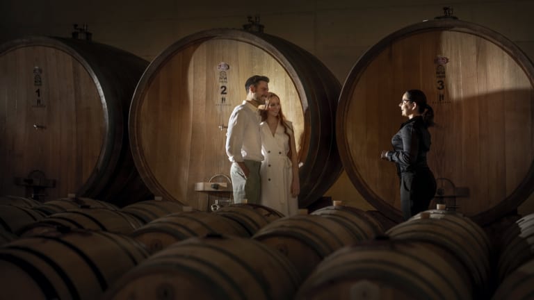 Jedinstveno vinsko iskustvo na krovu vinarije Kozlović