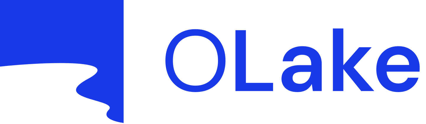 OLake logo