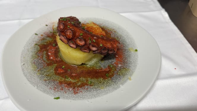 Octopus Migdia - 1