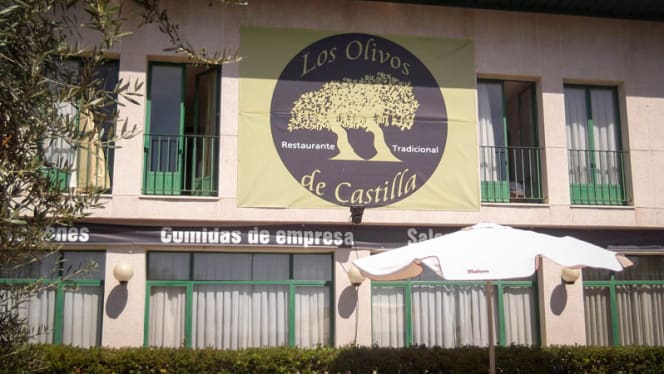 Los Olivos de Castilla - 4