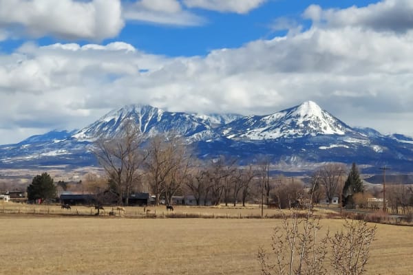 House sit in Hotchkiss, CO, US