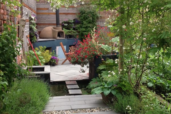 House sit in York, United Kingdom