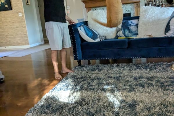 House sit in Georgetown, TX, US