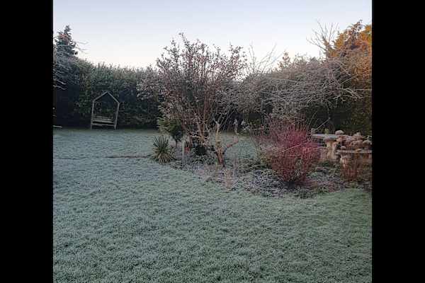 House sit in Hilperton, United Kingdom