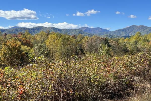 House sit in Madison, VA, US