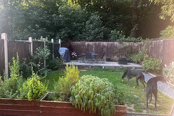 House sit in Nottingham, United Kingdom