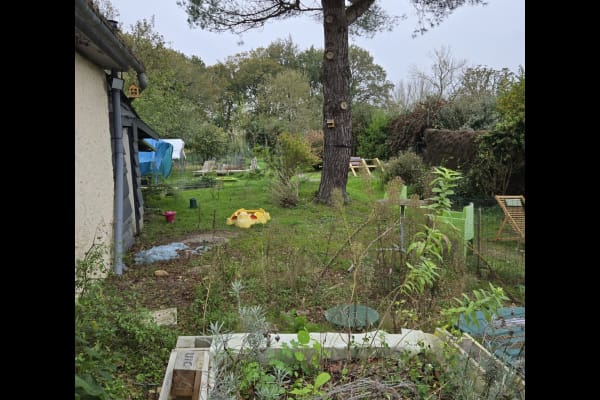 House sit in Nantes, France