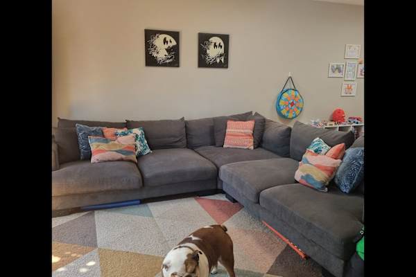 House sit in Melbourne, VIC, Australia