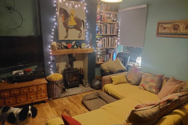 House sit in Derby, United Kingdom