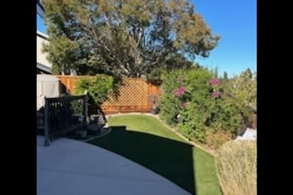House sit in Walnut Creek, CA, US