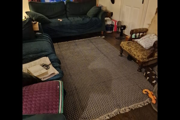 House sit in Launceston, United Kingdom