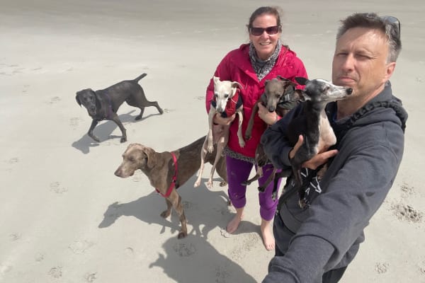 House sit in Yarmouth, NS, Canada