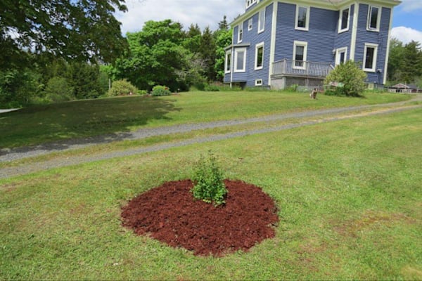 House sit in Lunenburg, NS, Canada