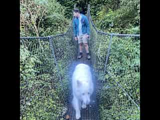 Taking Tio on his favourite walk