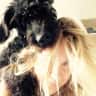 House sit pet parent - Cat and house sitting in a very pretty Hampshire village
