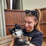 House sit pet parent - Elderly small dog Rocky and ginger cat Pepper